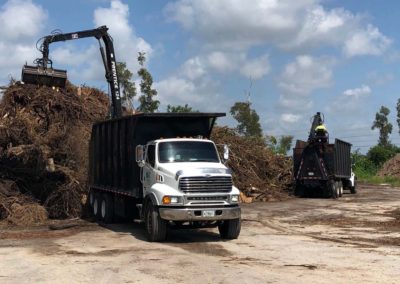 Horticultural Recycling in Fort Myers | Southwest Florida | Greencare Recycling